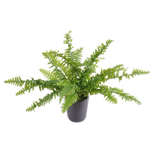 Plante artificielle Fougère Boston en piquet - intérieur - H.56cm Ø.70cm - F4