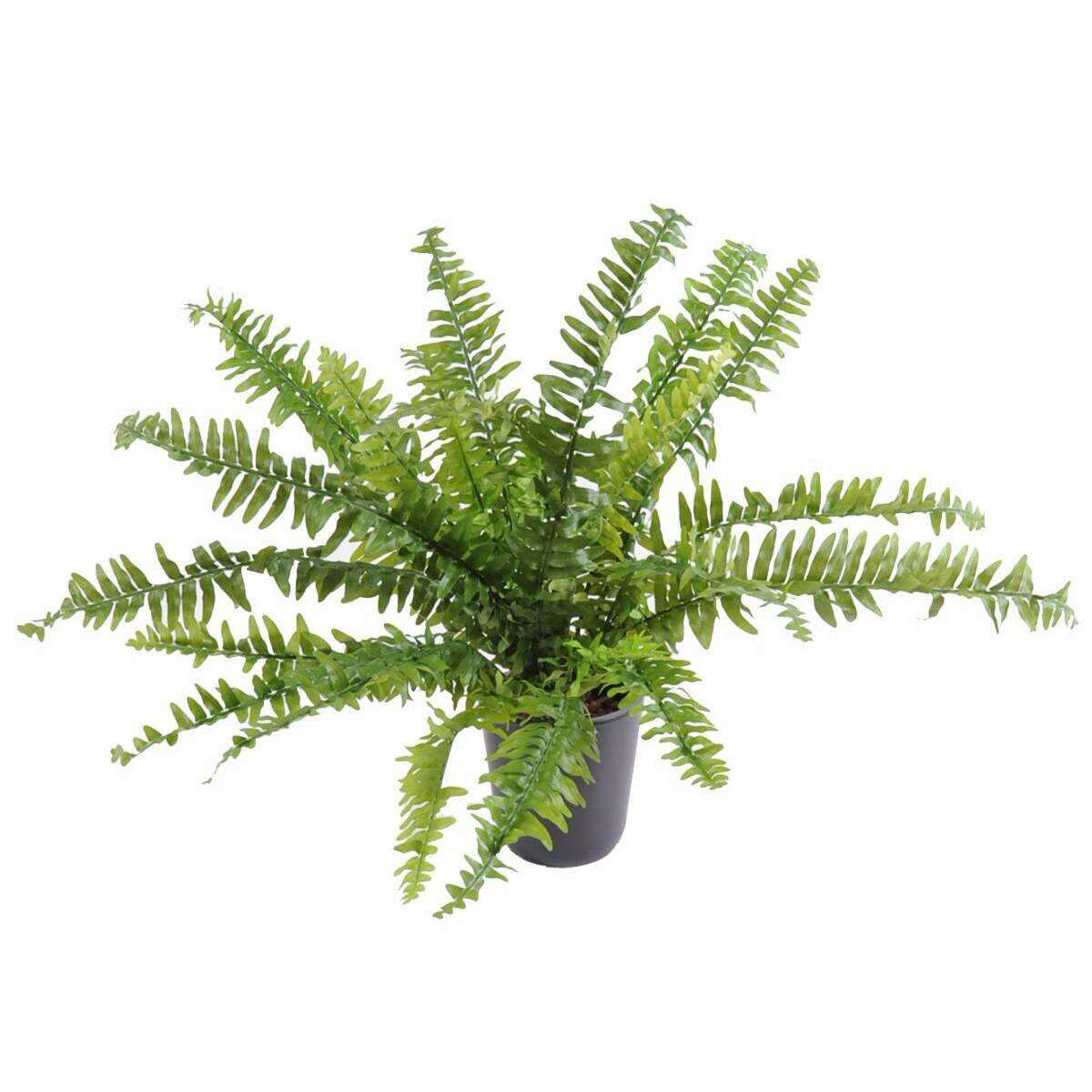 Plante artificielle Fougère Boston en piquet - intérieur - H.65cm Ø.80cm F5