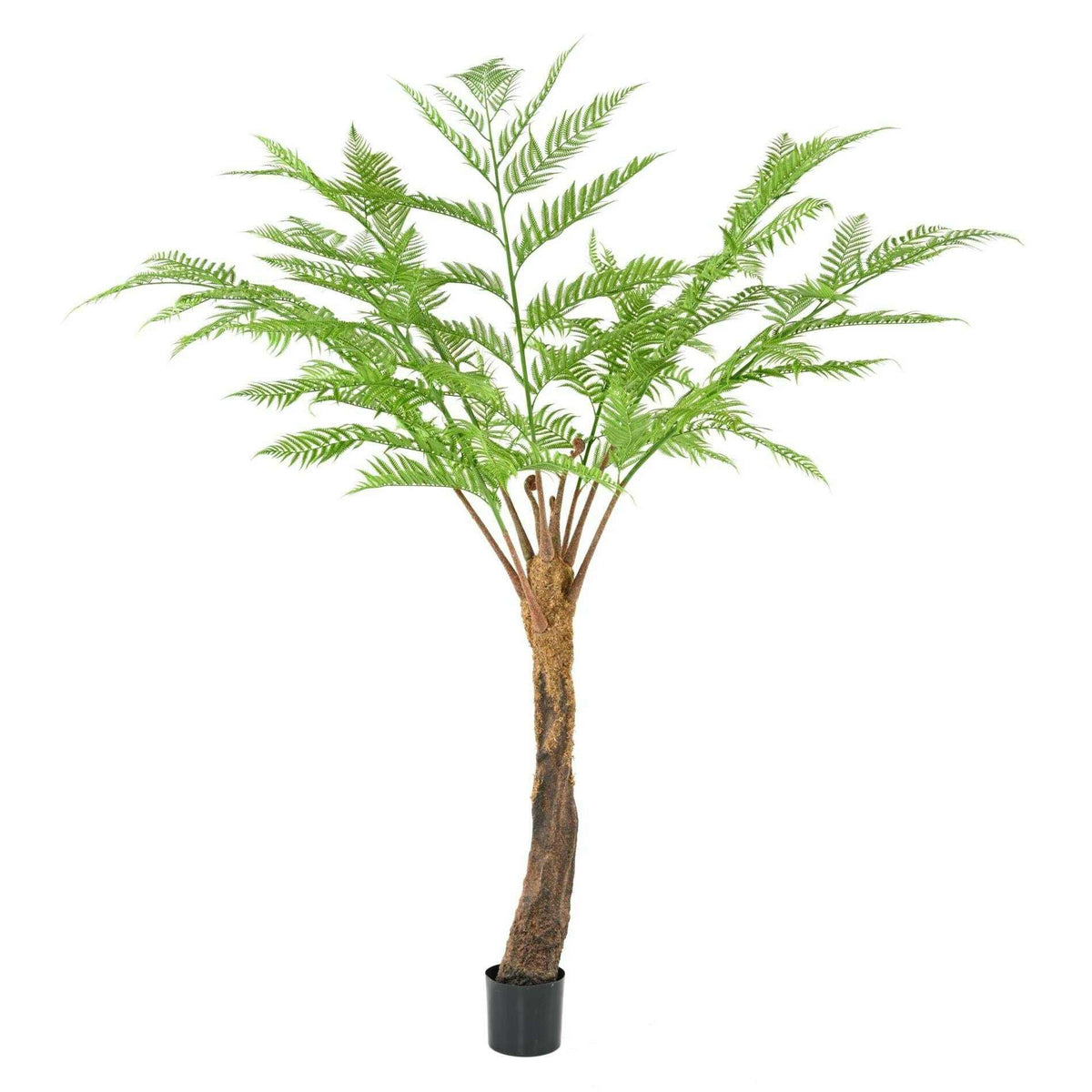 Plante artificielle Fougère Dicksonia 7 branches - décoration d'intérieur - H.240cm