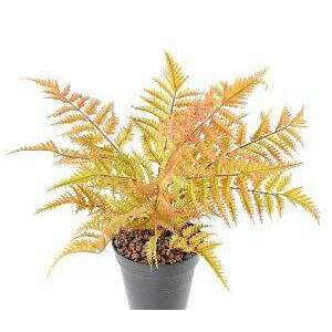 Plante artificielle Fougère plastique en piquet - décoration d'intérieur - H.45cm marron - F4