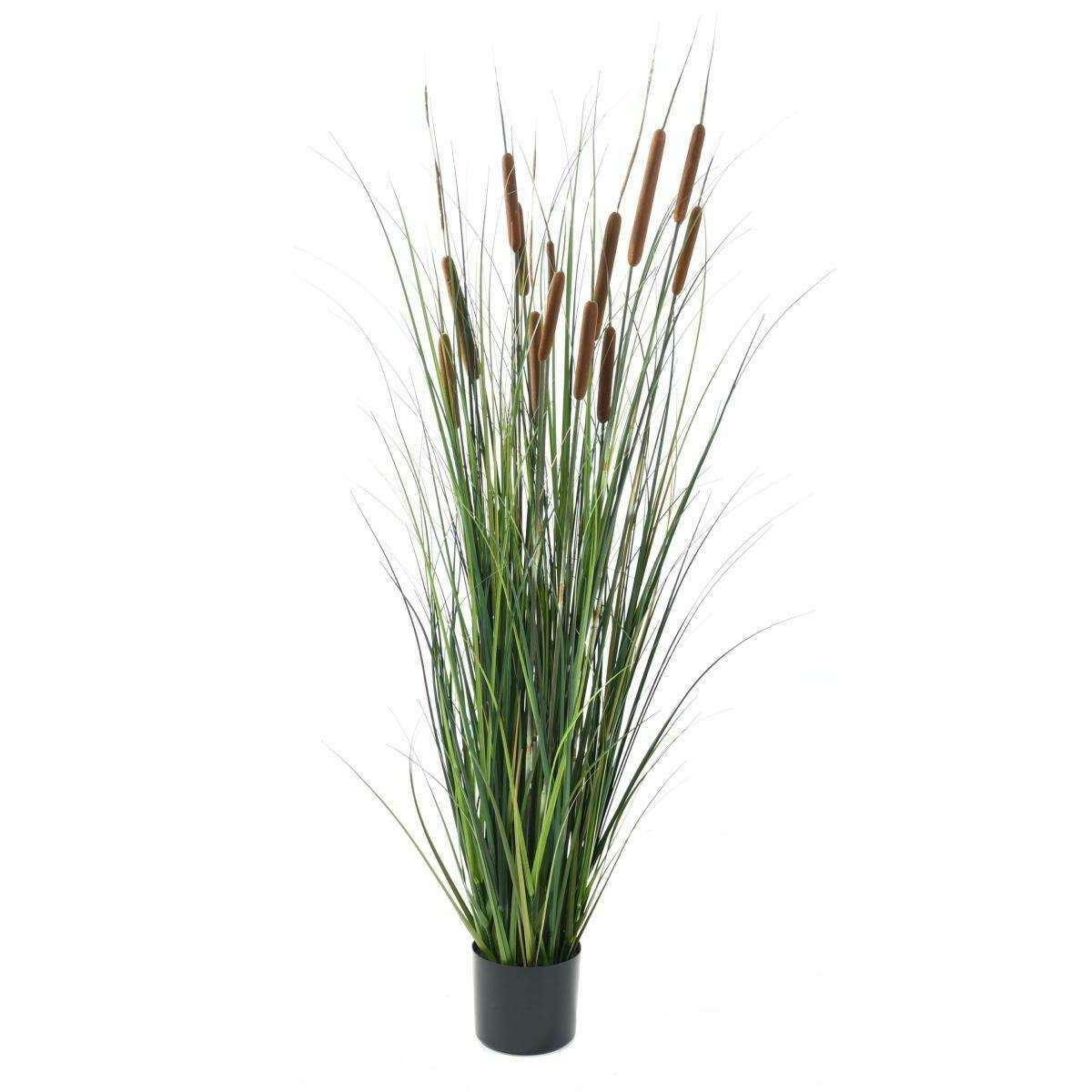 Plante artificielle Graminée Roseau Cattail en pot - décoration d'intérieur - H.150cm C