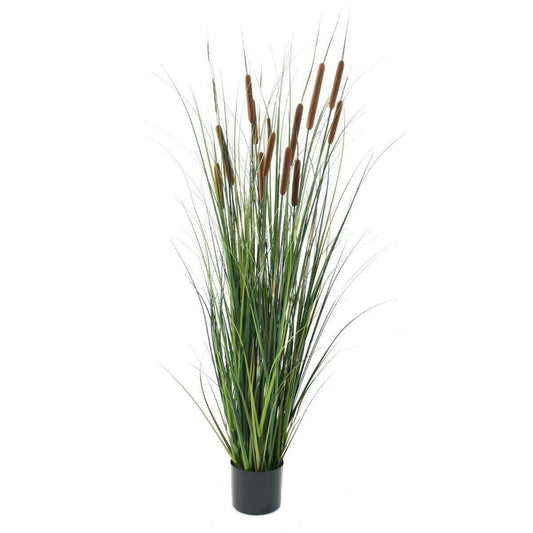 Plante artificielle Graminée Roseau Cattail en pot - décoration d'intérieur - H.150cm C