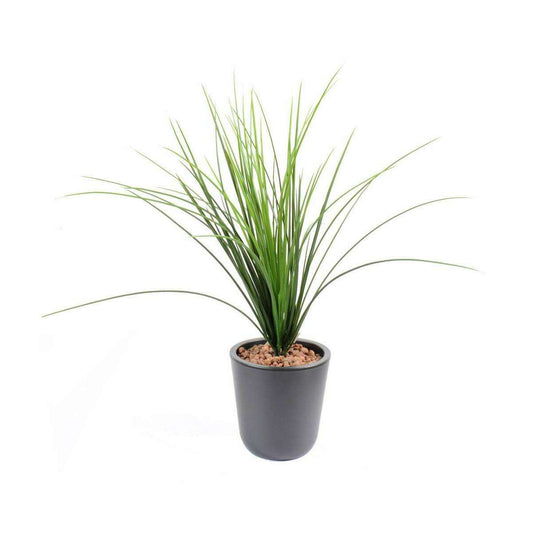 Plante artificielle Herbe Onion Grass plastique en piquet - intérieur extérieur - H.55cm H2