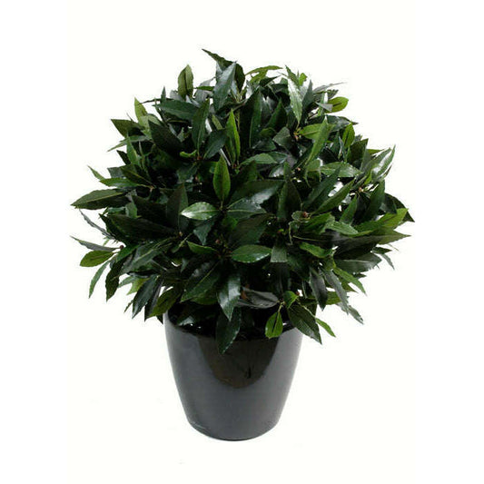 Plante artificielle Laurier boule luxe - plante synthétique - Ø.80cm