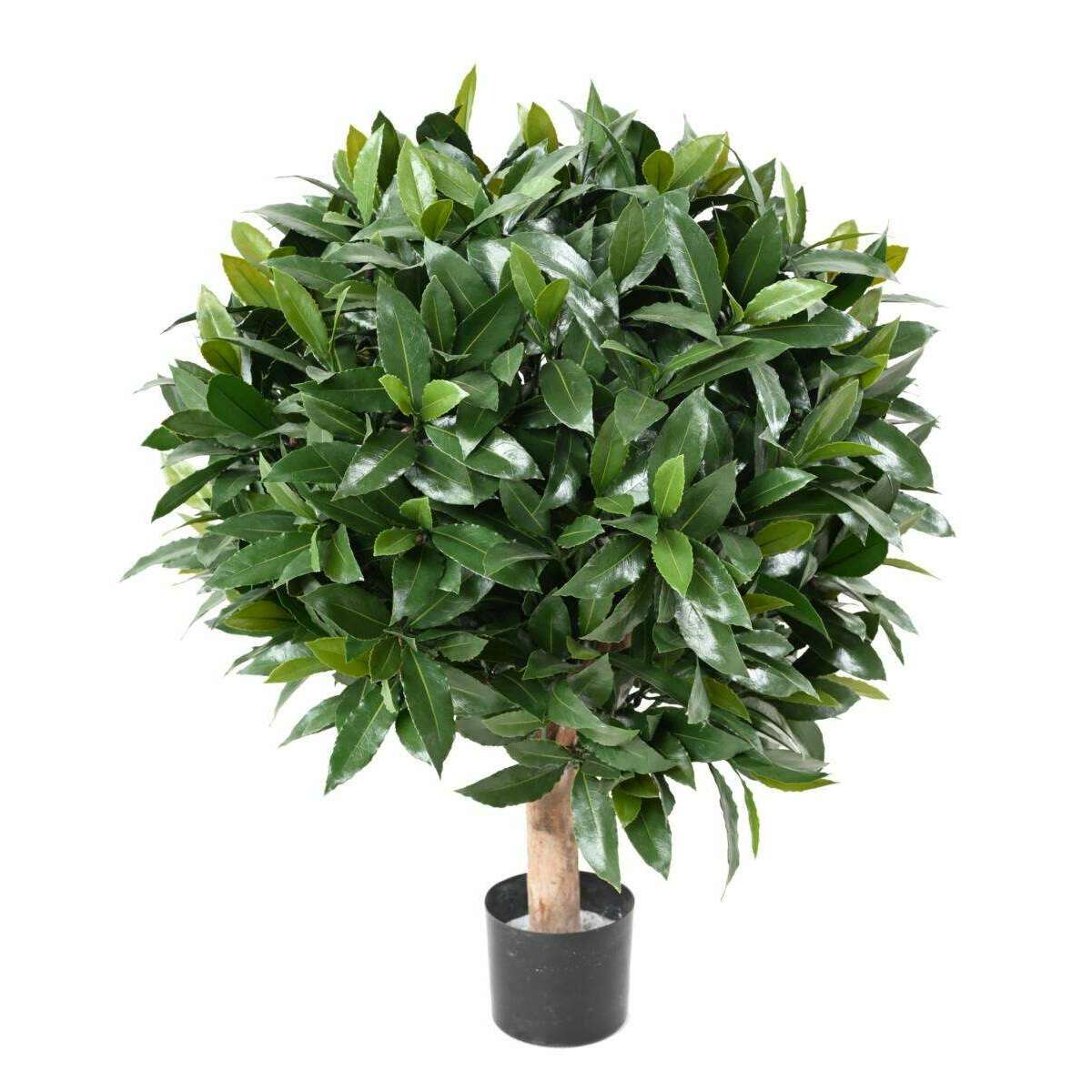 Plante artificielle Laurier boule Nobilis - feuillage UV résistant - H.70cm