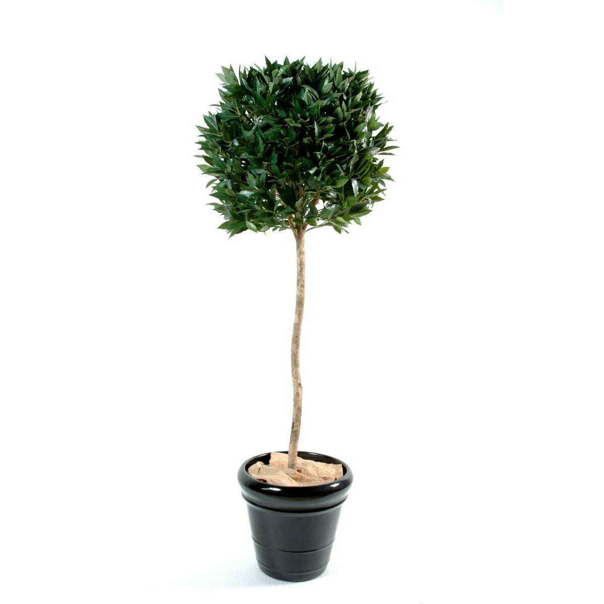 Plante artificielle Laurier tige boule UV résistant - intérieur extérieur - H.150cm vert L