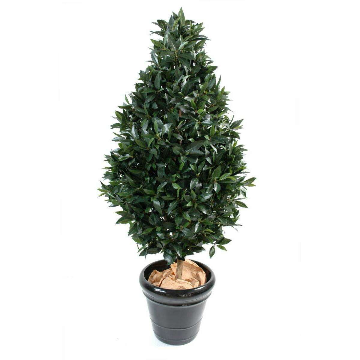 Plante artificielle Laurier topiaire large - plante d'intérieur - H.160cm vert