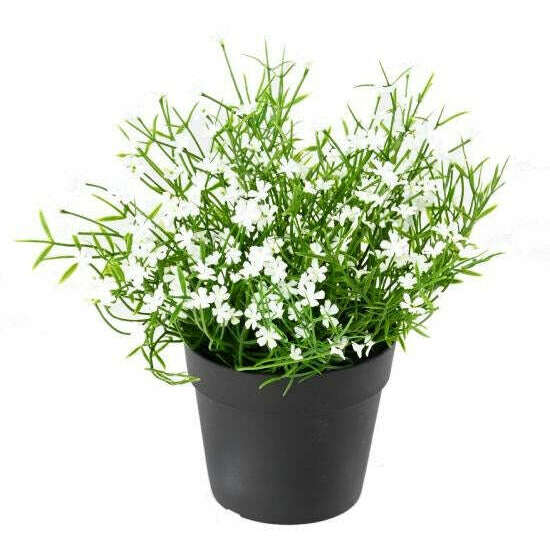 Plante artificielle Marguerite mini en pot - plante fleurie d'extérieur - H.20cm K1
