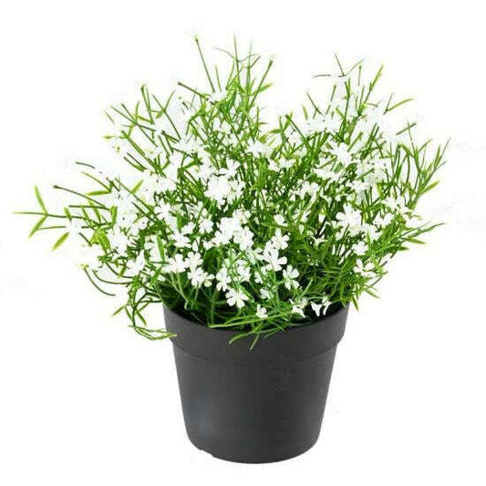 Plante artificielle Marguerite mini en pot - plante fleurie d'extérieur - H.20cm K1