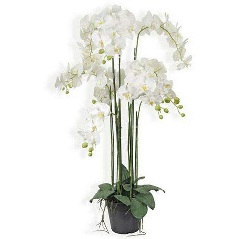 Plante artificielle Orchidée en pot - plante synthétique - H.115cm blanc Z2