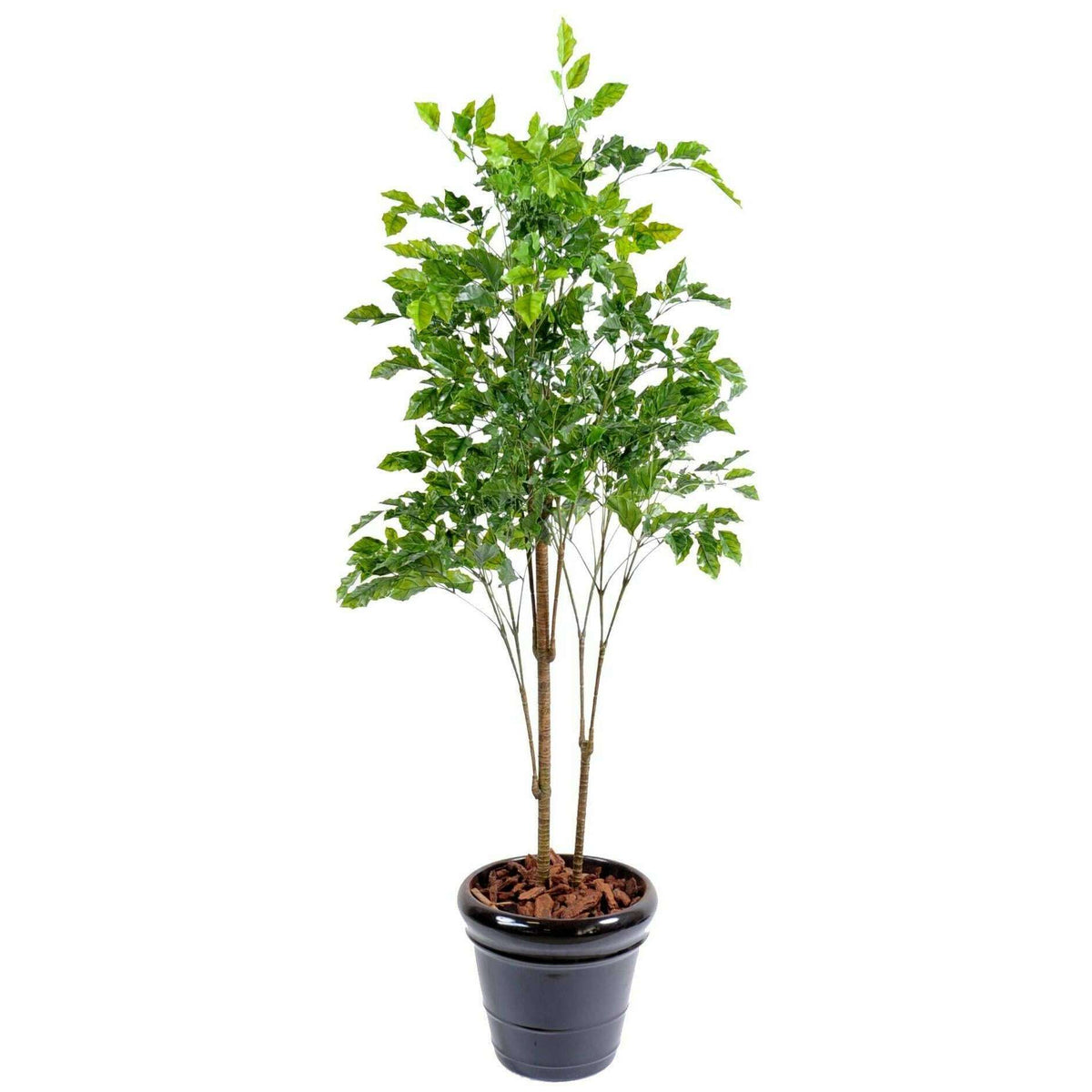 Plante artificielle Palissandre résistant UV - décoration d'extérieur - H.175cm vert