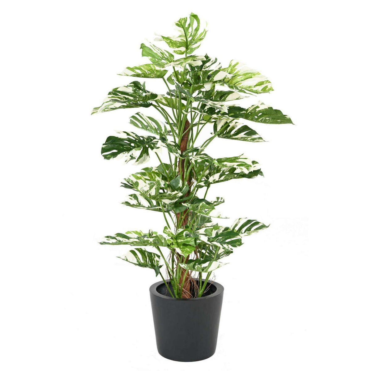 Plante artificielle Philodendron tuteur coco - plante d'intérieur - H.160cm panaché - P