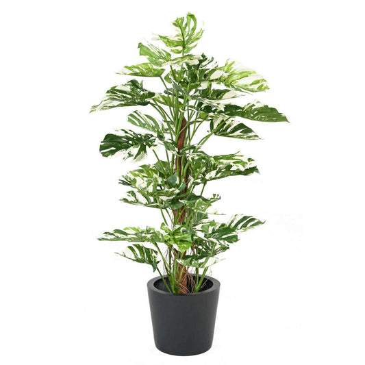 Plante artificielle Philodendron tuteur coco - plante d'intérieur - H.160cm panaché - P