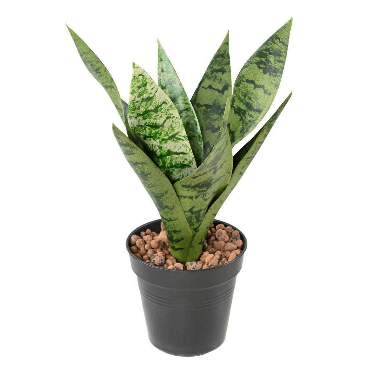 Plante artificielle Sansevieria piquet - succulente pour intérieur - H.35cm vert clair P3