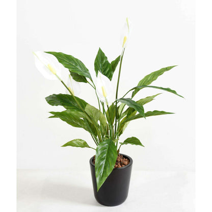 Plante artificielle Spathiphyllum en piquet - décoration d'intérieur - H.65cm-M2-