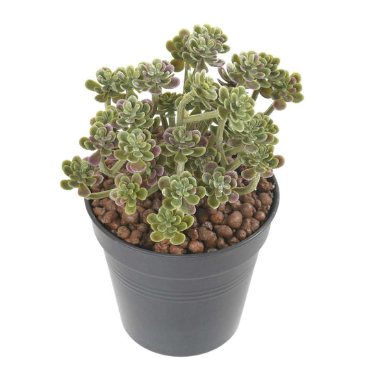 Plante artificielle Succulente en piquet - cactus artificiel intérieur - H.13cm M1