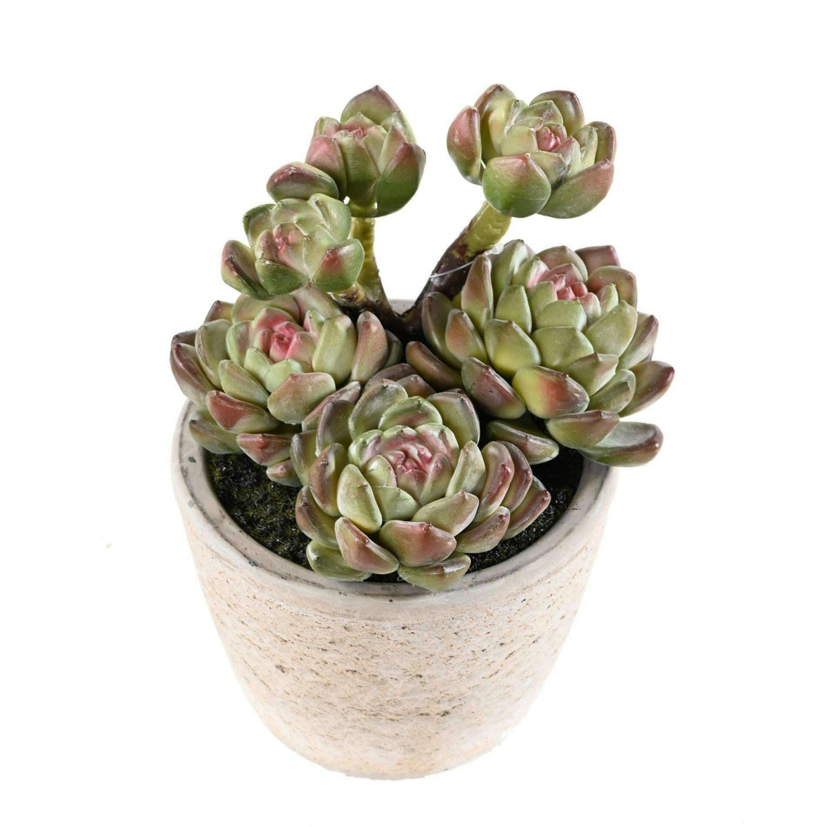 Plante artificielle succulente en pot - plante synthétique d'intérieur - H.18cm N1