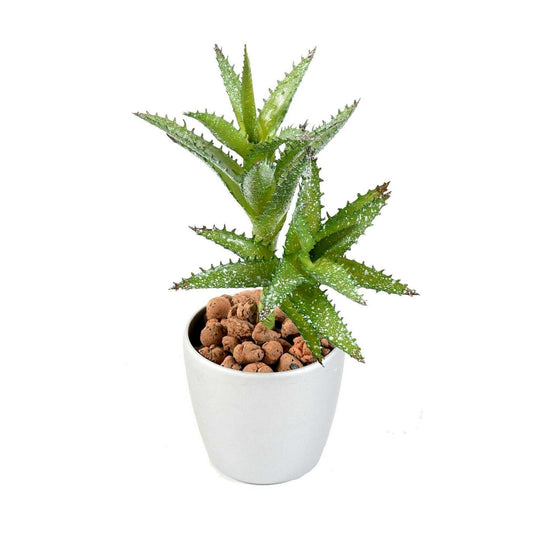 Plante artificielle Succulente Mini - cactus artificiel intérieur - H.18cm-N1