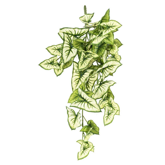Plante artificielle Syngonium en piquet - décoration d'intérieur - H.60cm panaché - M1