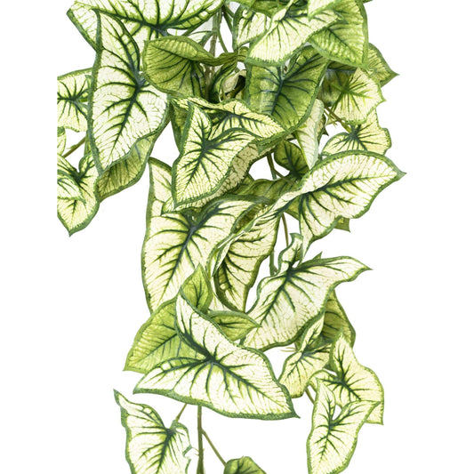 Plante artificielle Syngonium en piquet - décoration d'intérieur - H.60cm panaché - M1