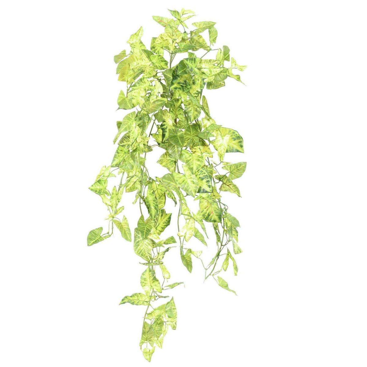 Plante artificielle Syngonium en piquet - décoration d'intérieur - H.80cm panaché M2