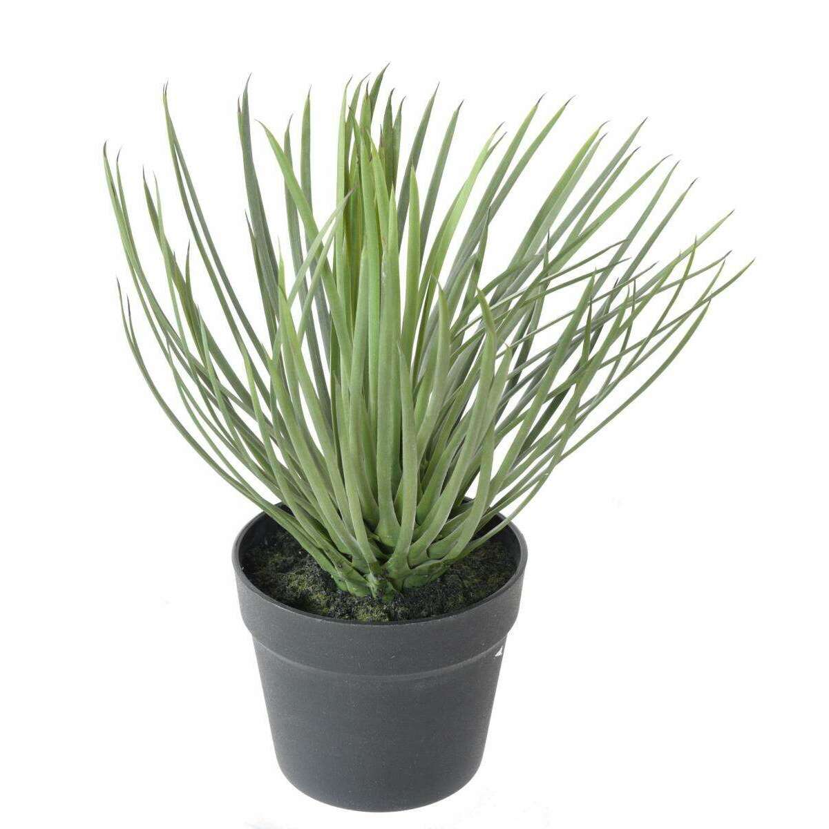 Plante artificielle Yucca Rostrata - intérieur extérieur - H.40cm vert N5