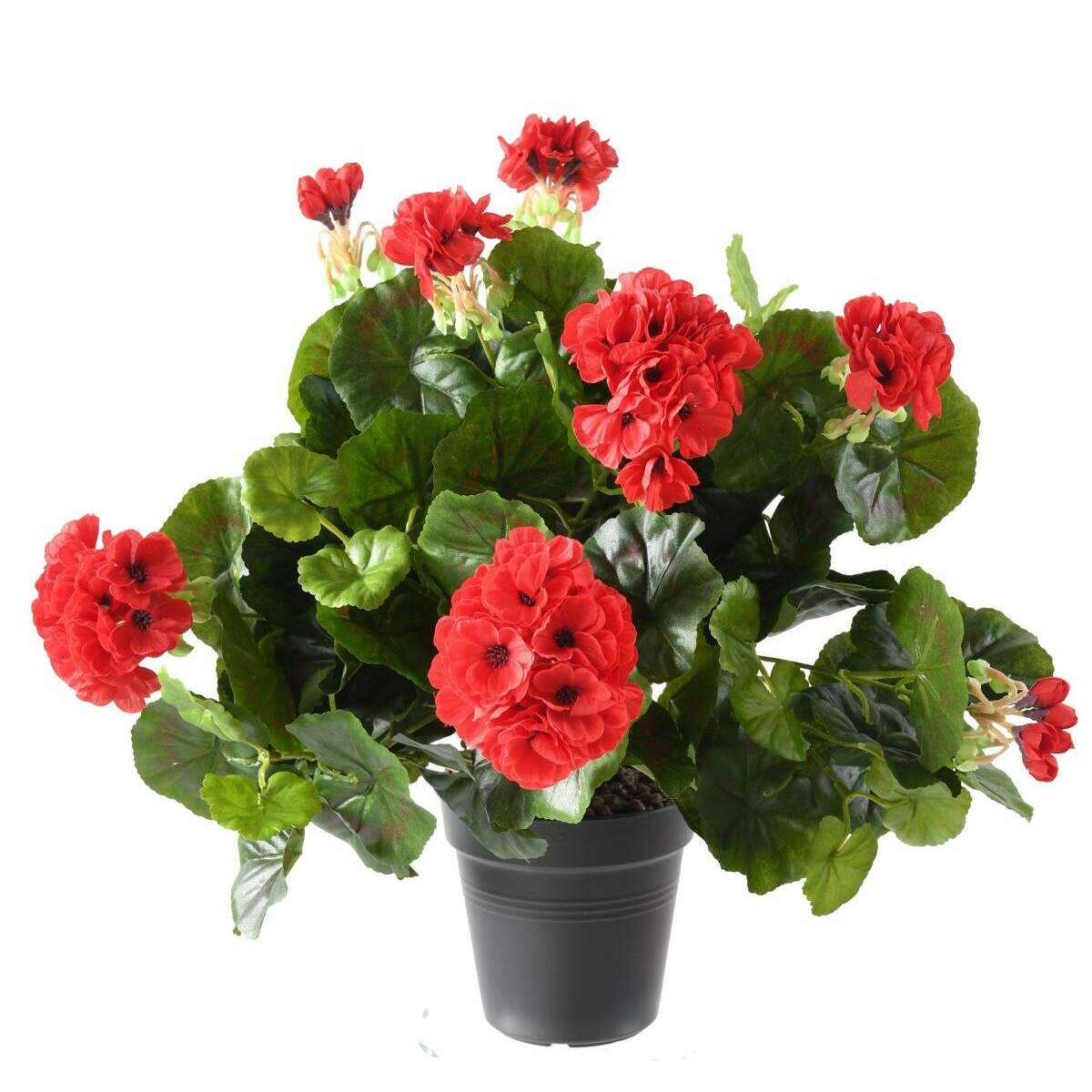Plante fleurie artificielle - Géranium en piquet - H.35 cm rouge H1