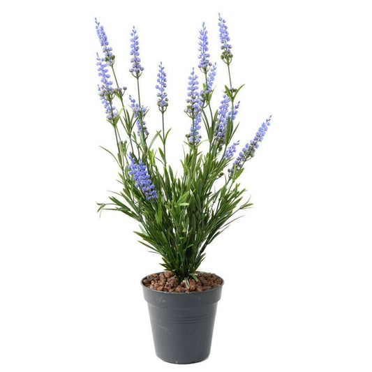 Plante fleurie artificielle Lavande en piquet - intérieur extérieur - H.52cm clair - K1