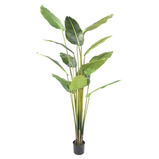 Plante tropicale artificielle Arbre du voyageur - plante intérieur - H.220cm