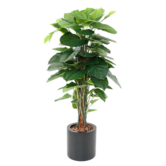 Plante verte artificielle Pothos tuteur coco - décoration d'intérieur - H.120cm