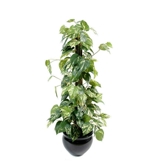 Plante verte artificielle Pothos tuteur coco - plante d'intérieur - H.100cm vert SHOW