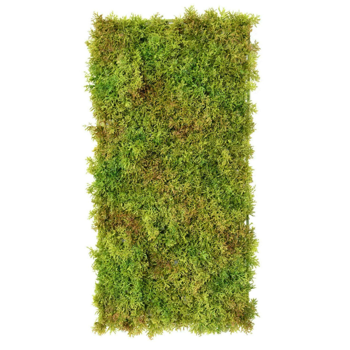 Plaque Mousse artificielle anti-UV - mur végétal intérieur extérieur - L.50x25cm vert  ETG MEZZA