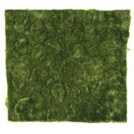 Plaque Mousse New artificielle - panneau végétal - 50x50cm vert ETG MEZZA